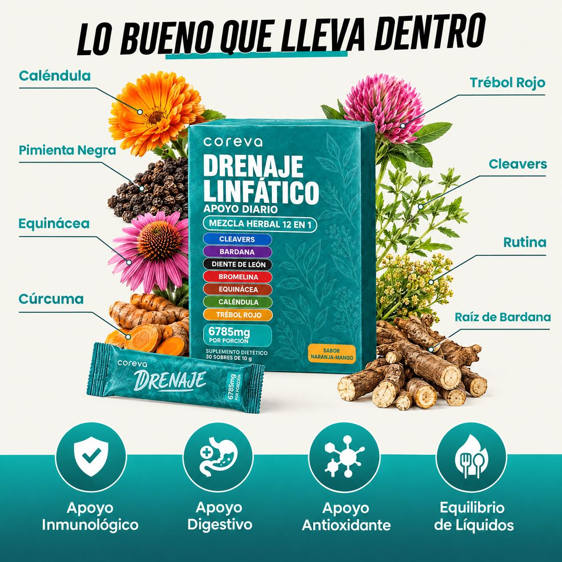 Los botánicos que lleva dentro: caléndula, cleavers, bardana, cúrcuma y más