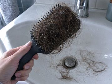 Shed hair in a brush
